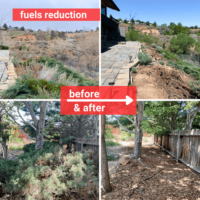 Wildfire Risk Reduction